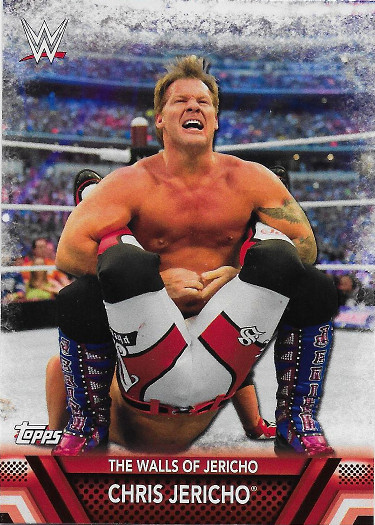 2017 Topps WWE Finishers and Signature Moves #F-18 Chris Jericho The Walls of Jericho