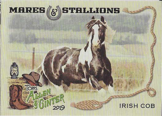2019 Allen & Ginter Mares & Stallions #MS-13 Irish Cob Horse