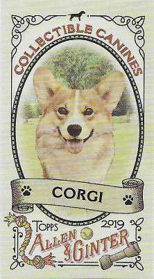 2019 Allen & Ginter Collectible Canines #CC-19 Corgi