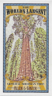 2021 Allen & Ginter The World's Largest #MWL-4 General Sherman Tree