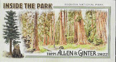 2022 Allen & Ginter Inside the Park #ITP-16 Sequoia National Park